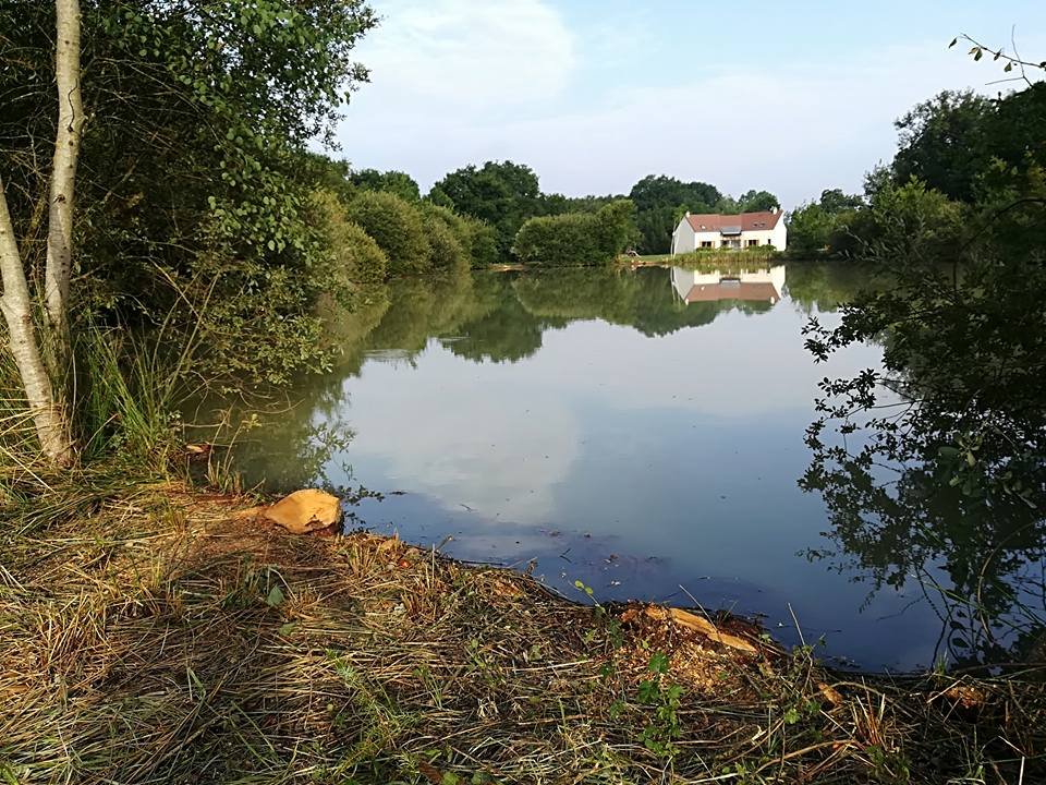 Entretien des abords de plan d'eau